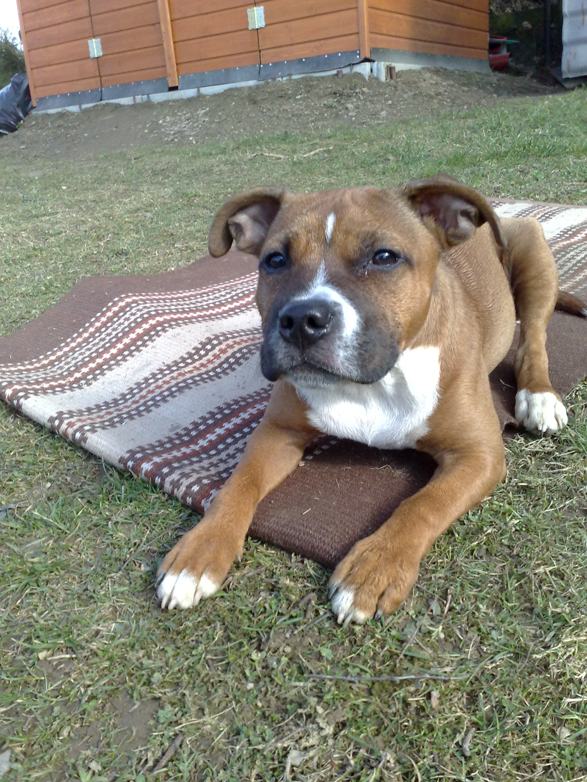 280320102204.jpg