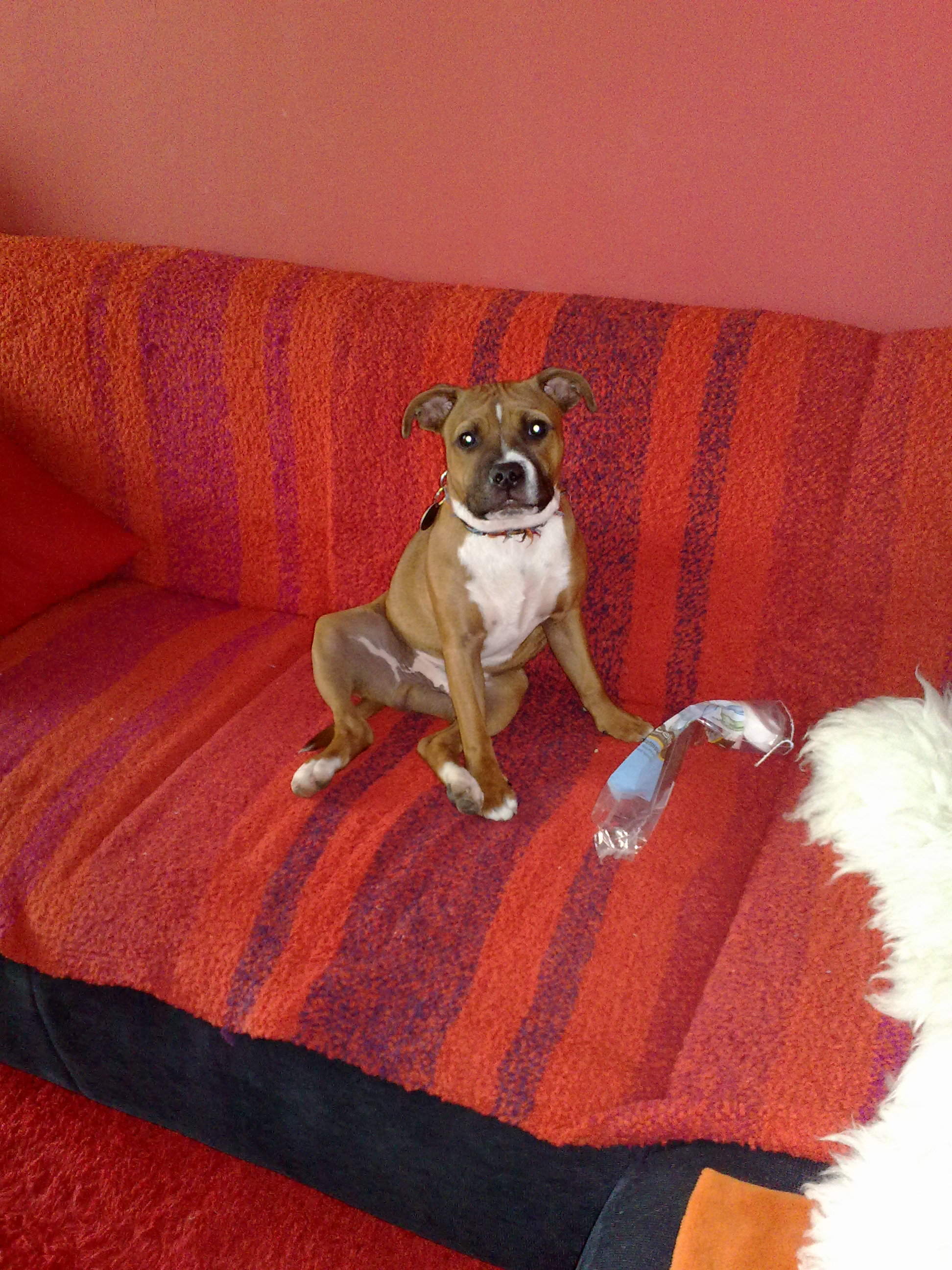 060420102230.jpg