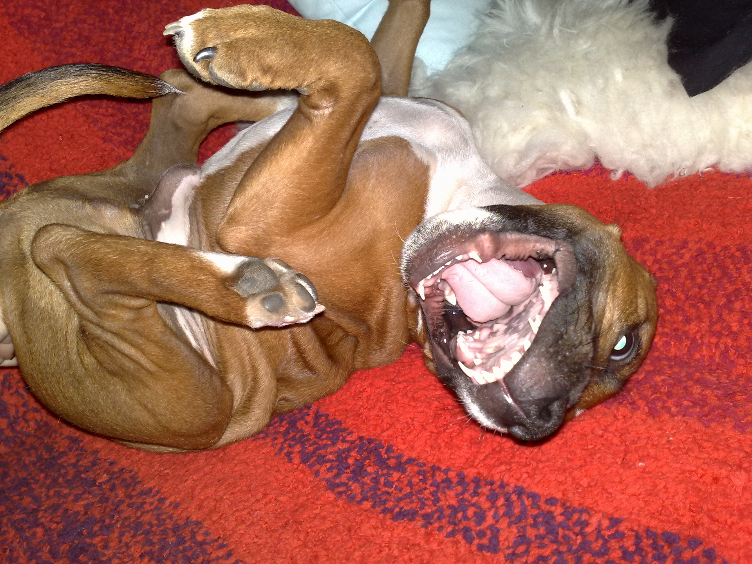 090320102124.jpg